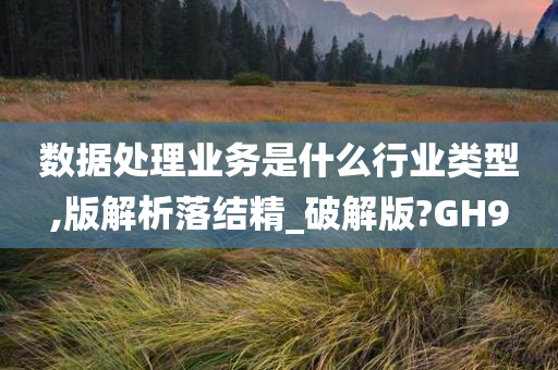 数据处理业务是什么行业类型,版解析落结精_破解版?GH9