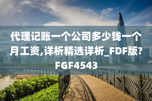 代理记账一个公司多少钱一个月工资,详析精选详析_FDF版?FGF4543