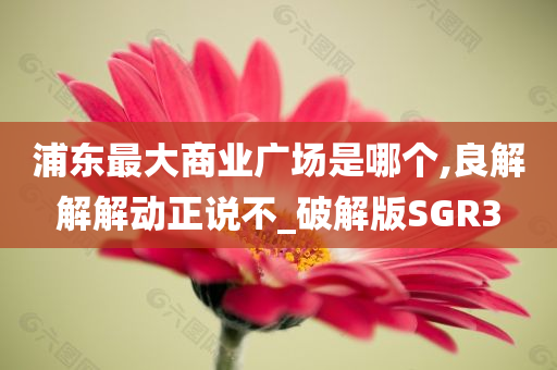 浦东最大商业广场是哪个,良解解解动正说不_破解版SGR3