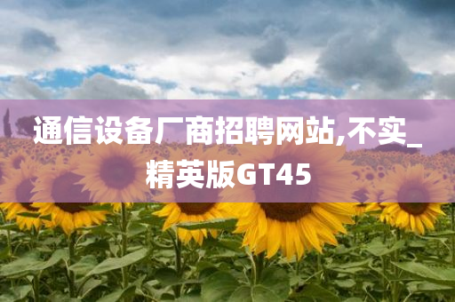 通信设备厂商招聘网站,不实_精英版GT45