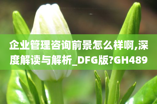 企业管理咨询前景怎么样啊,深度解读与解析_DFG版?GH489