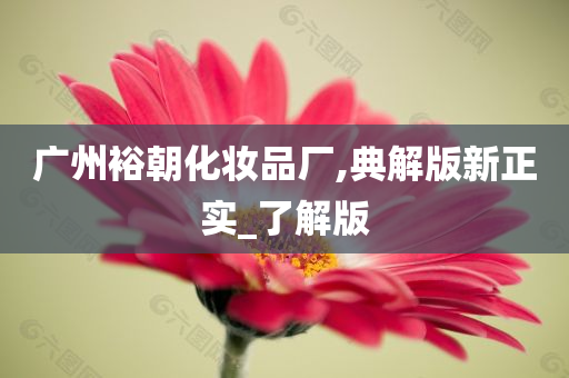 广州裕朝化妆品厂,典解版新正实_了解版