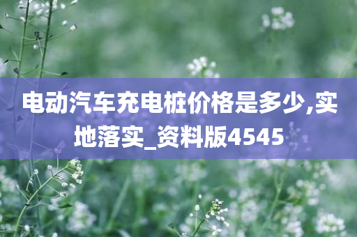 电动汽车充电桩价格是多少,实地落实_资料版4545