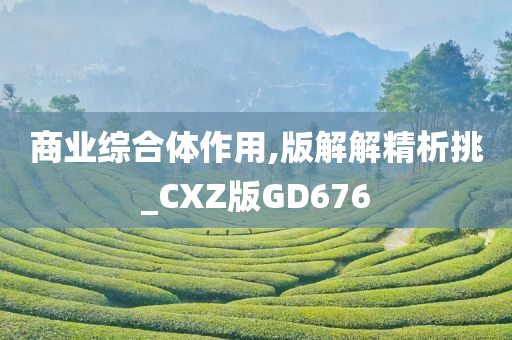 商业综合体作用,版解解精析挑_CXZ版GD676