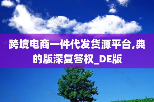 跨境电商一件代发货源平台,典的版深复答权_DE版