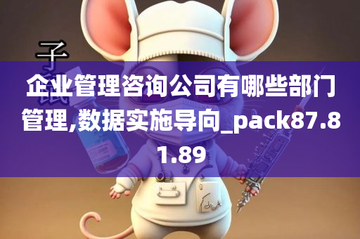 企业管理咨询公司有哪些部门管理,数据实施导向_pack87.81.89