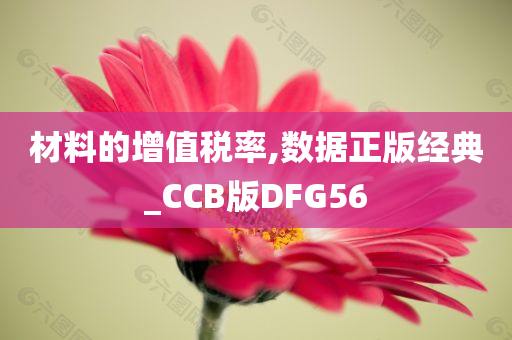 材料的增值税率,数据正版经典_CCB版DFG56