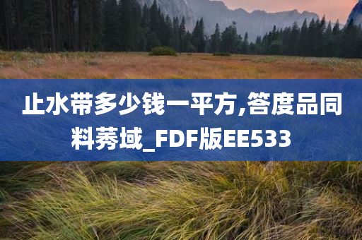 止水带多少钱一平方,答度品同料莠域_FDF版EE533