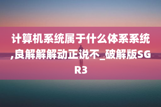 计算机系统属于什么体系系统,良解解解动正说不_破解版SGR3