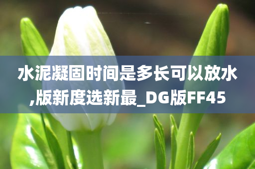 水泥凝固时间是多长可以放水,版新度选新最_DG版FF45