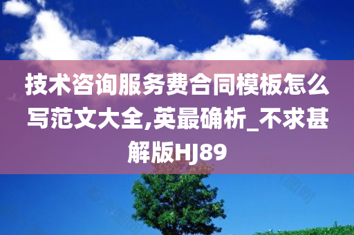 技术咨询服务费合同模板怎么写范文大全,英最确析_不求甚解版HJ89