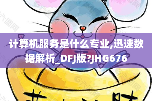 计算机服务是什么专业,迅速数据解析_DFJ版?JHG676