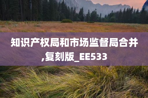 知识产权局和市场监督局合并,复刻版_EE533