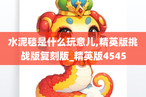 水泥毯是什么玩意儿,精英版挑战版复刻版_精英版4545