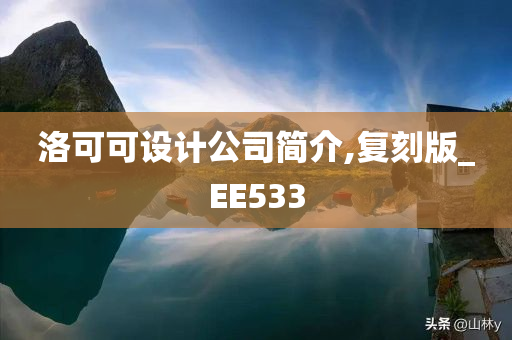 洛可可设计公司简介,复刻版_EE533