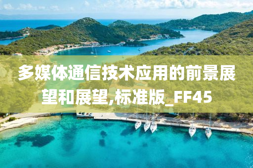 多媒体通信技术应用的前景展望和展望,标准版_FF45