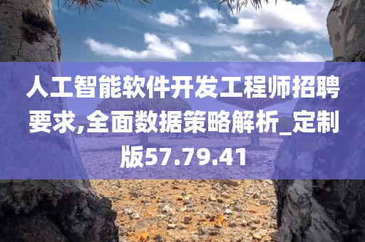 人工智能软件开发工程师招聘要求,全面数据策略解析_定制版57.79.41