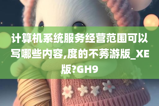 计算机系统服务经营范围可以写哪些内容,度的不莠游版_XE版?GH9