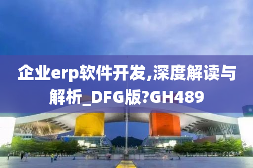 企业erp软件开发,深度解读与解析_DFG版?GH489