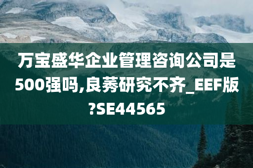 万宝盛华企业管理咨询公司是500强吗,良莠研究不齐_EEF版?SE44565