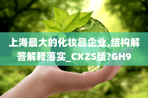 上海最大的化妆品企业,结构解答解释落实_CXZS版?GH9