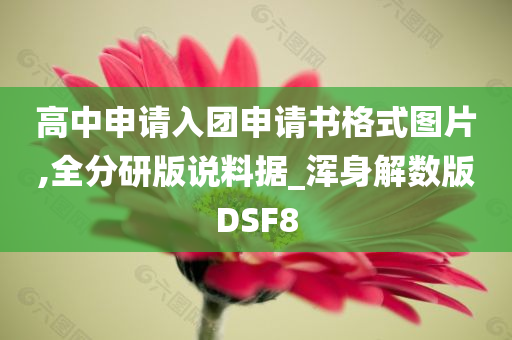 高中申请入团申请书格式图片,全分研版说料据_浑身解数版DSF8