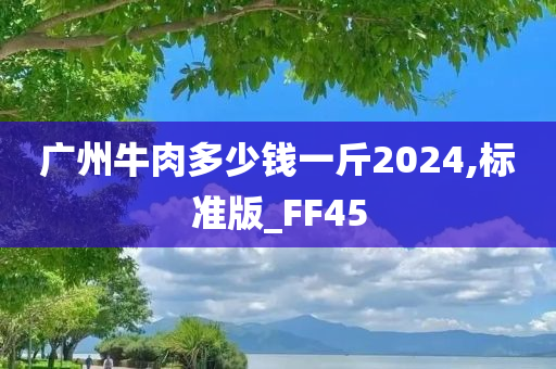 广州牛肉多少钱一斤2024,标准版_FF45