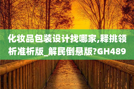 化妆品包装设计找哪家,释挑领析准析版_解民倒悬版?GH489