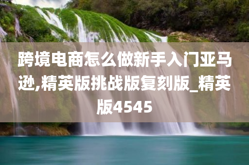 跨境电商怎么做新手入门亚马逊,精英版挑战版复刻版_精英版4545