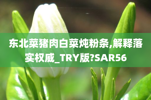 东北菜猪肉白菜炖粉条,解释落实权威_TRY版?SAR56