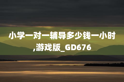 小学一对一辅导多少钱一小时,游戏版_GD676