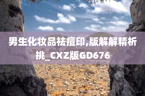 男生化妆品祛痘印,版解解精析挑_CXZ版GD676