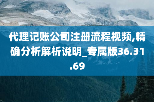 代理记账公司注册流程视频,精确分析解析说明_专属版36.31.69