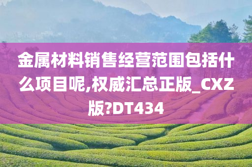 金属材料销售经营范围包括什么项目呢,权威汇总正版_CXZ版?DT434