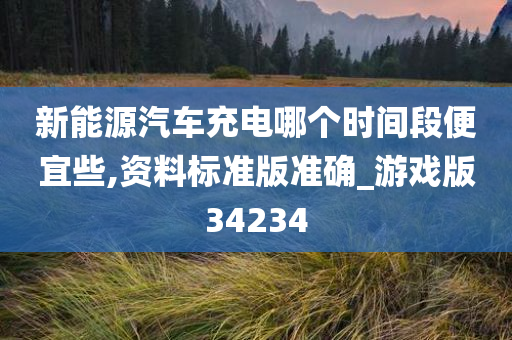 新能源汽车充电哪个时间段便宜些,资料标准版准确_游戏版34234