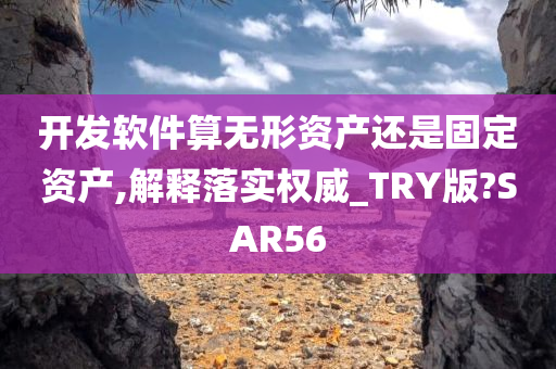 开发软件算无形资产还是固定资产,解释落实权威_TRY版?SAR56