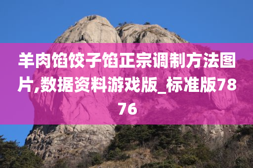 羊肉馅饺子馅正宗调制方法图片,数据资料游戏版_标准版7876