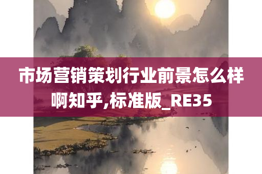 市场营销策划行业前景怎么样啊知乎,标准版_RE35