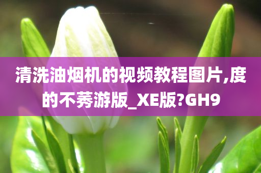 清洗油烟机的视频教程图片,度的不莠游版_XE版?GH9