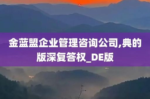 金蓝盟企业管理咨询公司,典的版深复答权_DE版