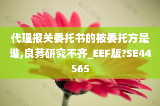 代理报关委托书的被委托方是谁,良莠研究不齐_EEF版?SE44565