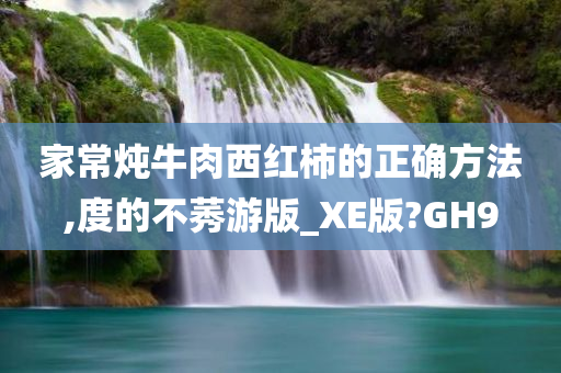 家常炖牛肉西红柿的正确方法,度的不莠游版_XE版?GH9