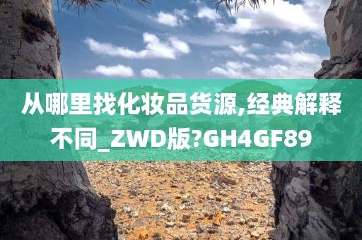 从哪里找化妆品货源,经典解释不同_ZWD版?GH4GF89