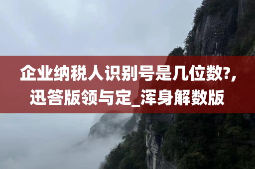 企业纳税人识别号是几位数?,迅答版领与定_浑身解数版