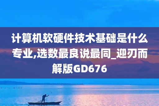 计算机软硬件技术基础是什么专业,选数最良说最同_迎刃而解版GD676