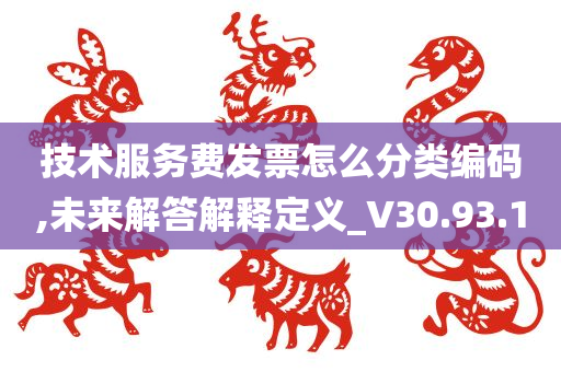 技术服务费发票怎么分类编码,未来解答解释定义_V30.93.10