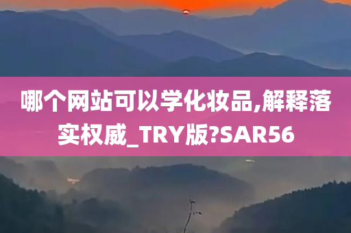 哪个网站可以学化妆品,解释落实权威_TRY版?SAR56