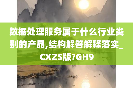 数据处理服务属于什么行业类别的产品,结构解答解释落实_CXZS版?GH9