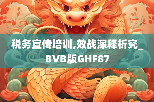 税务宣传培训,效战深释析究_BVB版GHF87