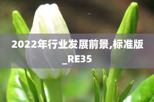 2022年行业发展前景,标准版_RE35